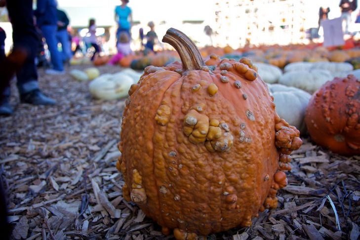 Систематический обзор местно применяемых методов лечения наружных генитальных бородавок