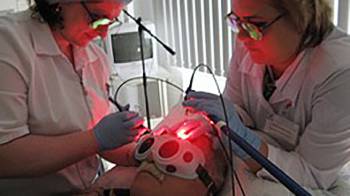 Преимущества фотодинамической терапии в лечении базальноклеточной карциномы кожи